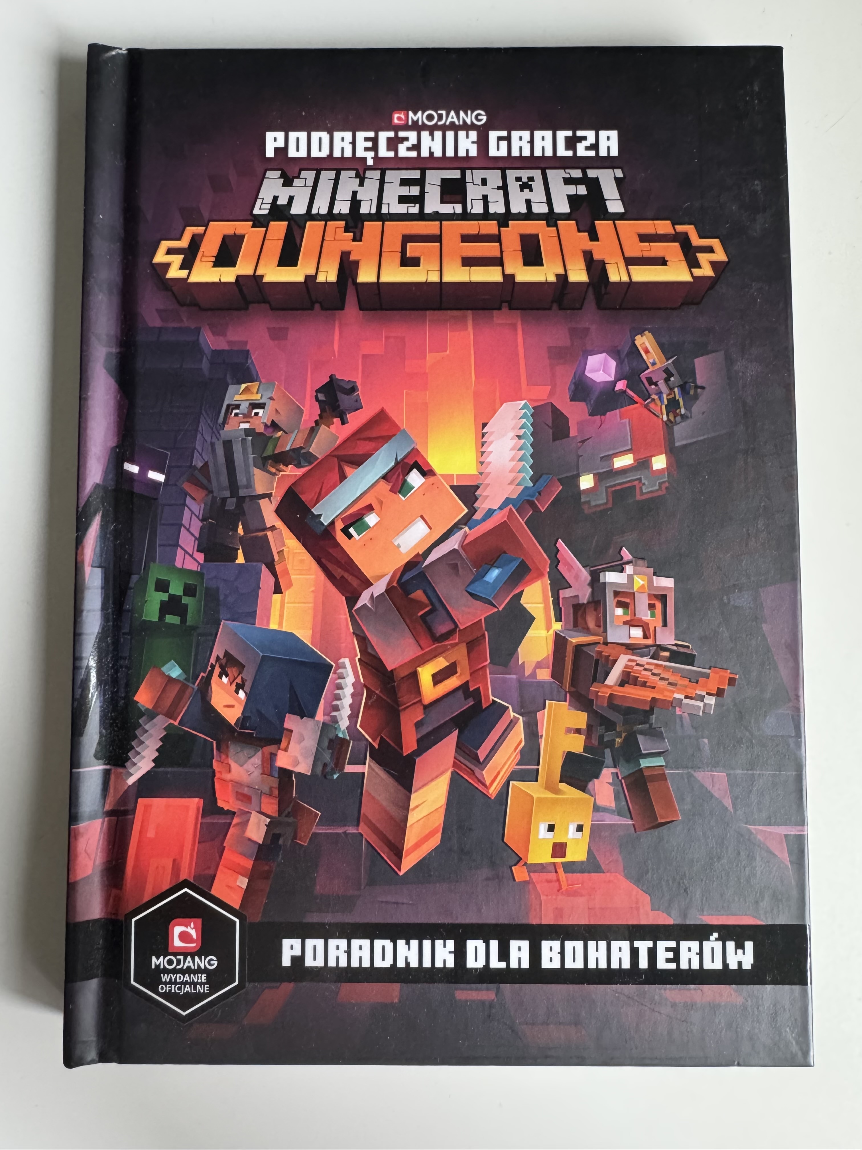 Podręcznik gracza Minecraft Dungeons